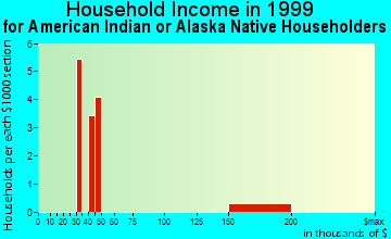 Bisbee household income for American Indian or Alaska Native householders