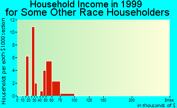 Rio Rico Northeast household income for some other race householders