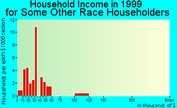 Rio Rico Southeast household income for some other race householders