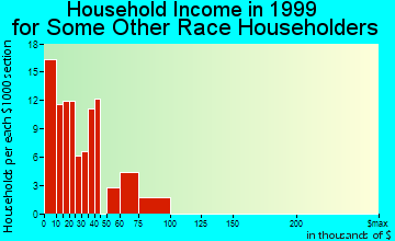 Southbridge household income for some other race householders