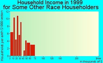 West Springfield household income for some other race householders