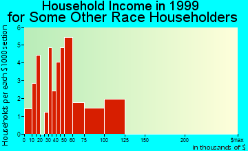 Allen Park household income for some other race householders