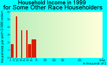 Breckenridge household income for some other race householders