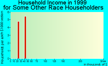 Brighton household income for some other race householders