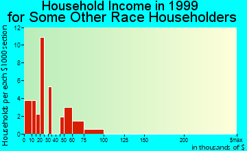 Buena Vista household income for some other race householders