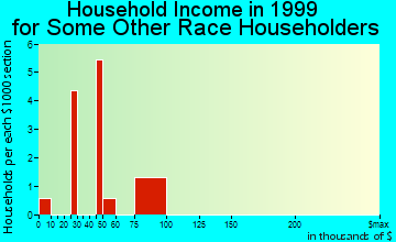 Dowagiac household income for some other race householders
