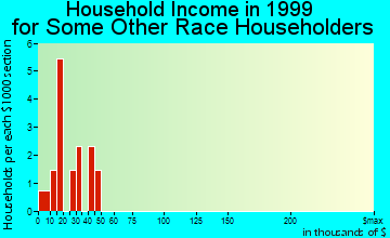 Ferndale household income for some other race householders