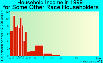 Flint household income for some other race householders