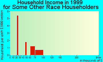 Leslie household income for some other race householders