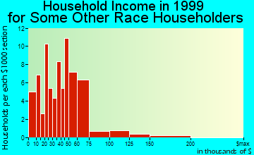 Surprise household income for some other race householders