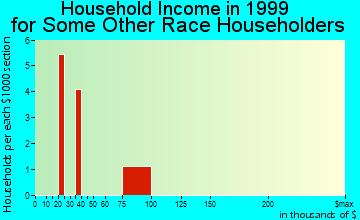 New Haven household income for some other race householders