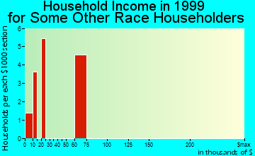Oak Park household income for some other race householders