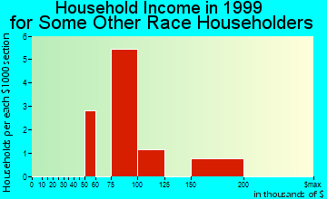 Plymouth Township household income for some other race householders
