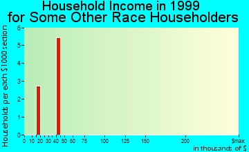 Rochester household income for some other race householders