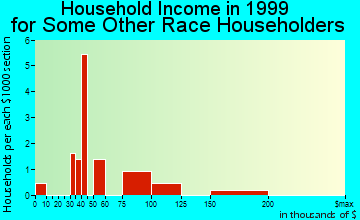 St. Clair Shores household income for some other race householders
