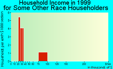 Swartz Creek household income for some other race householders