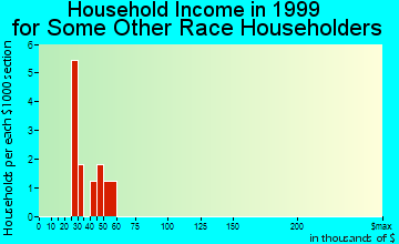 Wenden household income for some other race householders