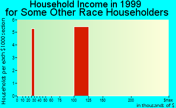 Woodhaven household income for some other race householders