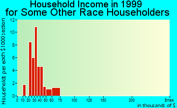 Brooklyn Center household income for some other race householders