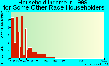 Winslow household income for some other race householders