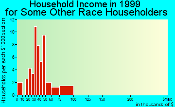 Burnsville household income for some other race householders