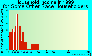 Duluth household income for some other race householders