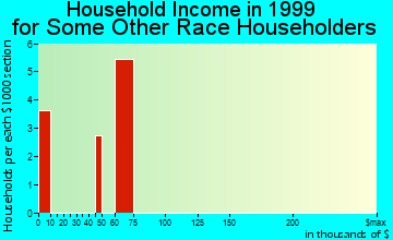 New Brighton household income for some other race householders
