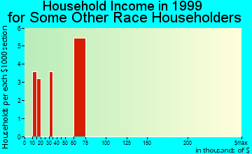 Ripley household income for some other race householders