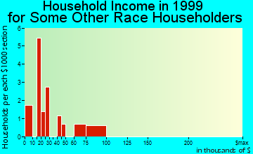 Dothan household income for some other race householders
