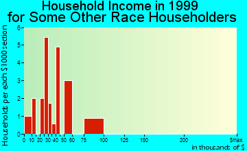 Blue Springs household income for some other race householders