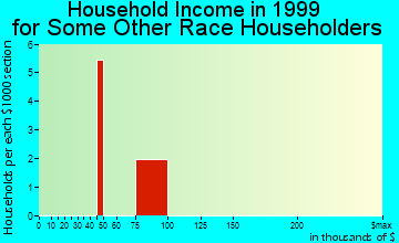 Clinton household income for some other race householders