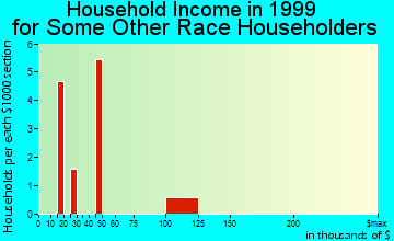 Poplar Bluff household income for some other race householders