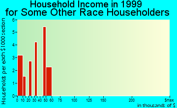 Anniston household income for some other race householders
