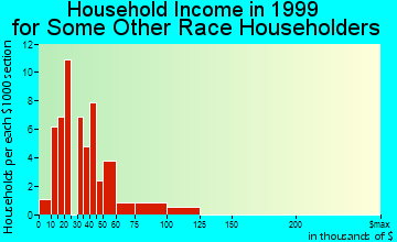 Columbus household income for some other race householders