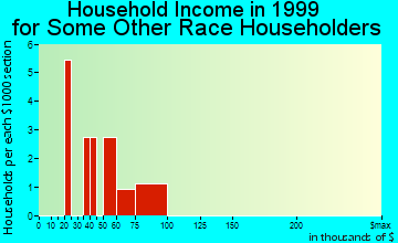 Emerson household income for some other race householders