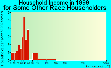 Fremont household income for some other race householders