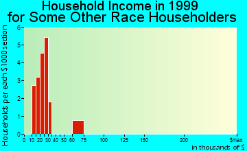 Sidney household income for some other race householders