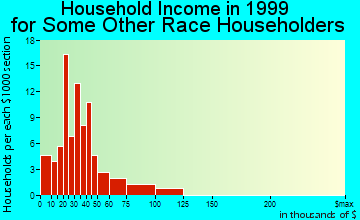 South Sioux City household income for some other race householders