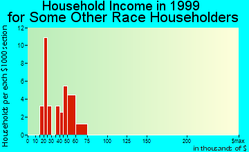 Nellis AFB household income for some other race householders