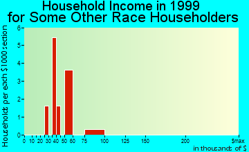 Derry household income for some other race householders