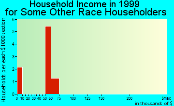 Budd Lake household income for some other race householders