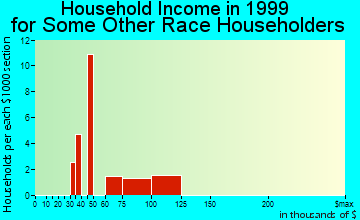 Dumont household income for some other race householders