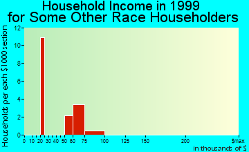 East Rutherford household income for some other race householders