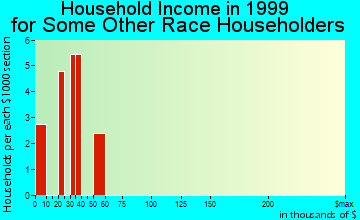 Flemington household income for some other race householders