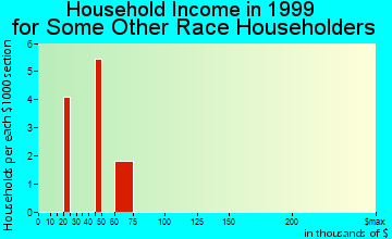 Mount Ephraim household income for some other race householders