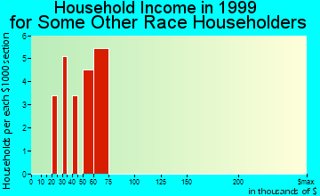 Princeton household income for some other race householders