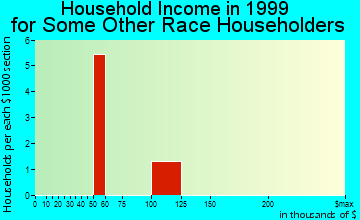 Riverdale household income for some other race householders