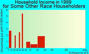 Rockaway household income for some other race householders