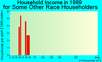 Runnemede household income for some other race householders