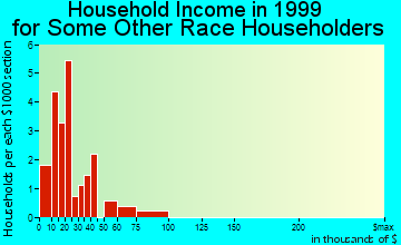 Estancia household income for some other race householders